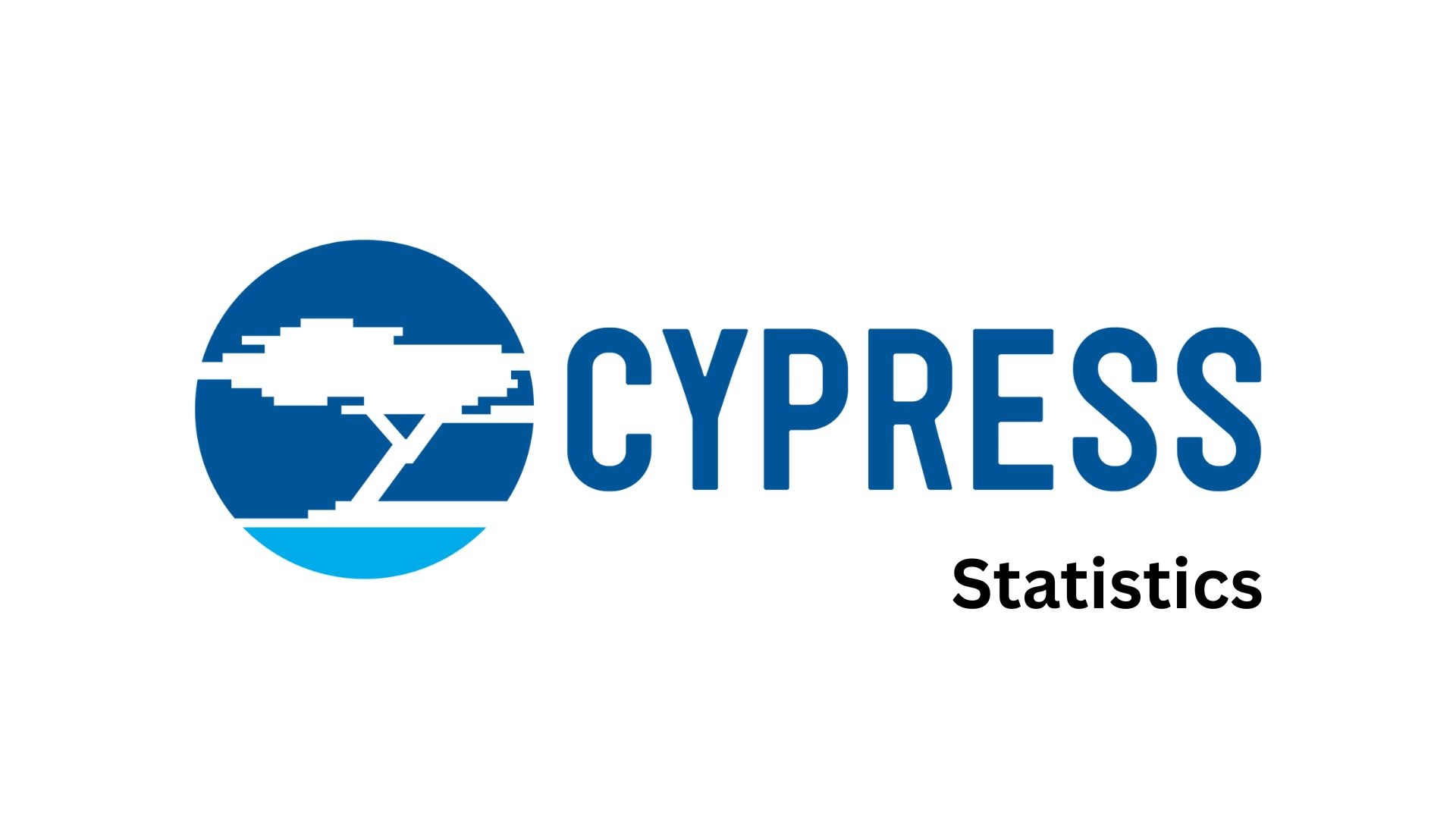 Cypress Statistics By Operating Income, Revenue, Assets And Expenditure