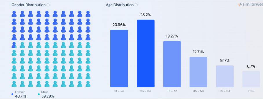 Dailymotion Demographics