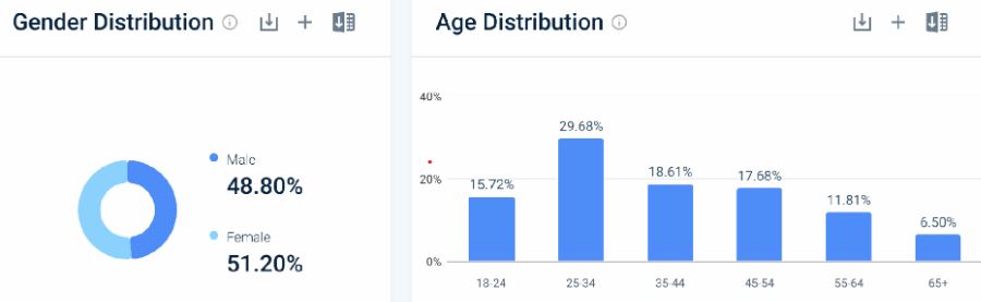 Hootsuite Website Demographics