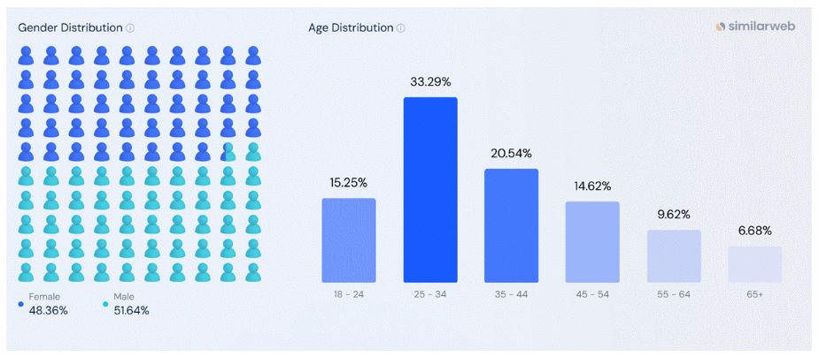 Slack Demographics