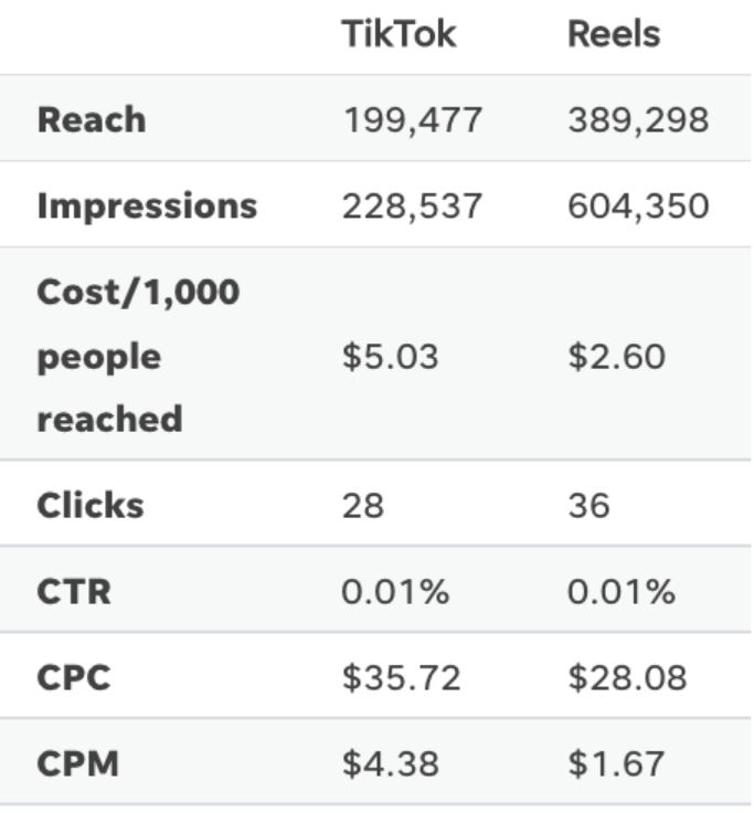 TikTok vs Instagram Reels Advertising