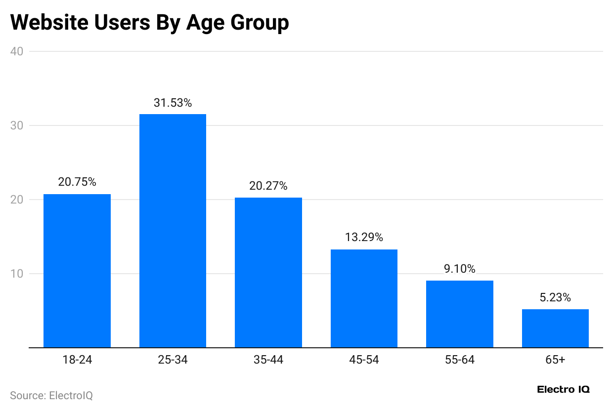 website-users-by-age-group