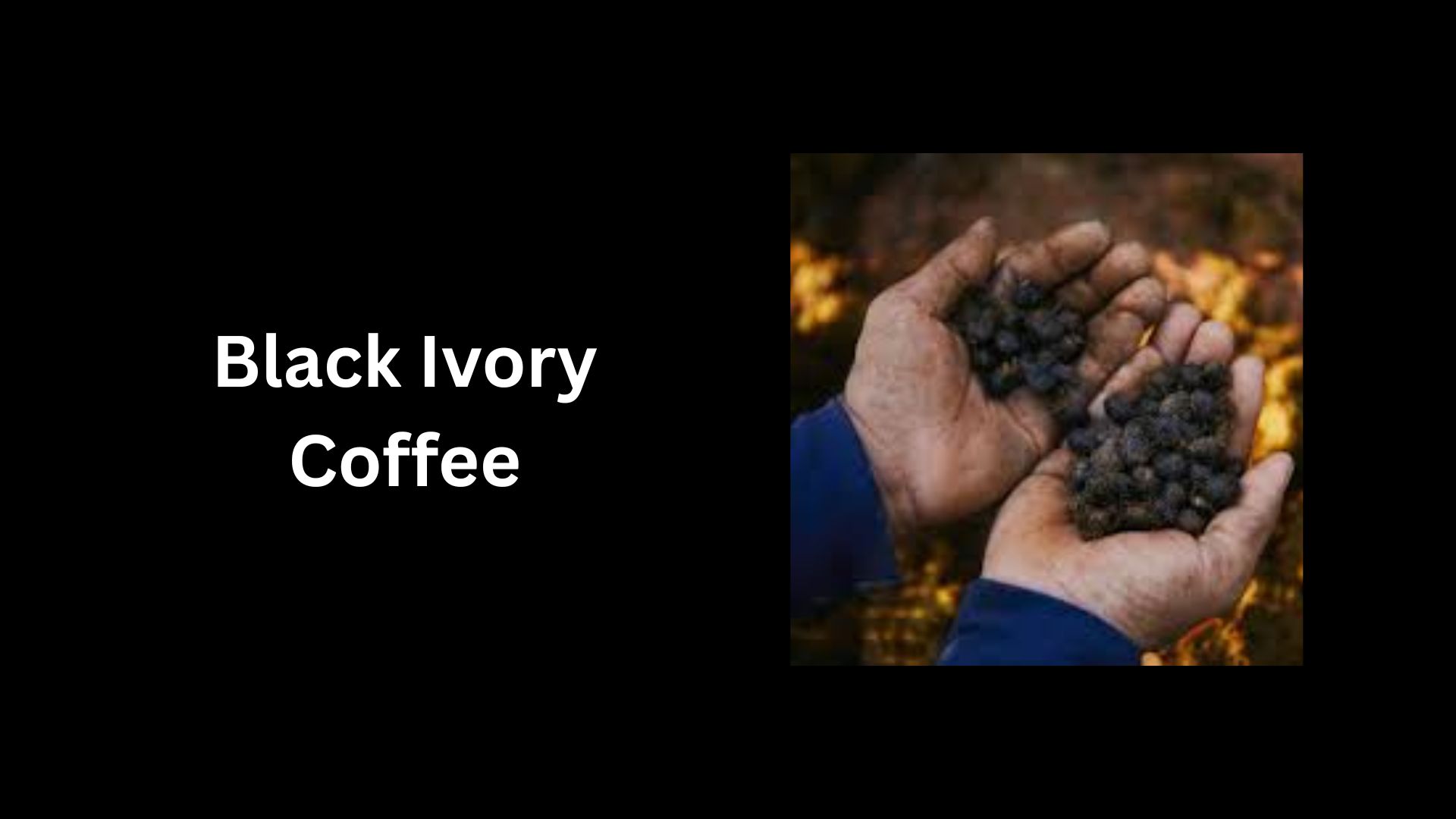 Black Ivory Coffee