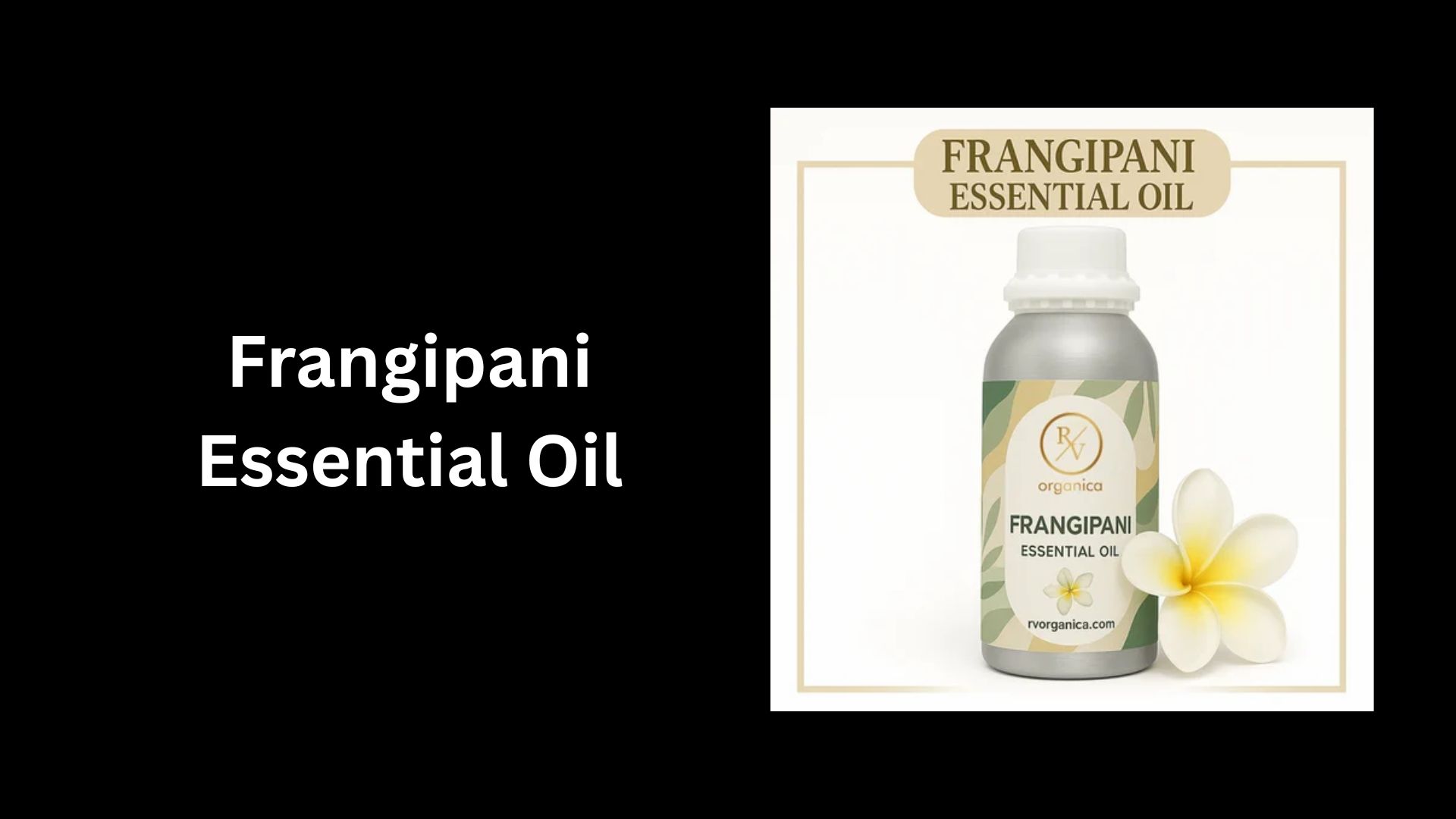 Frangipani Essential Oil