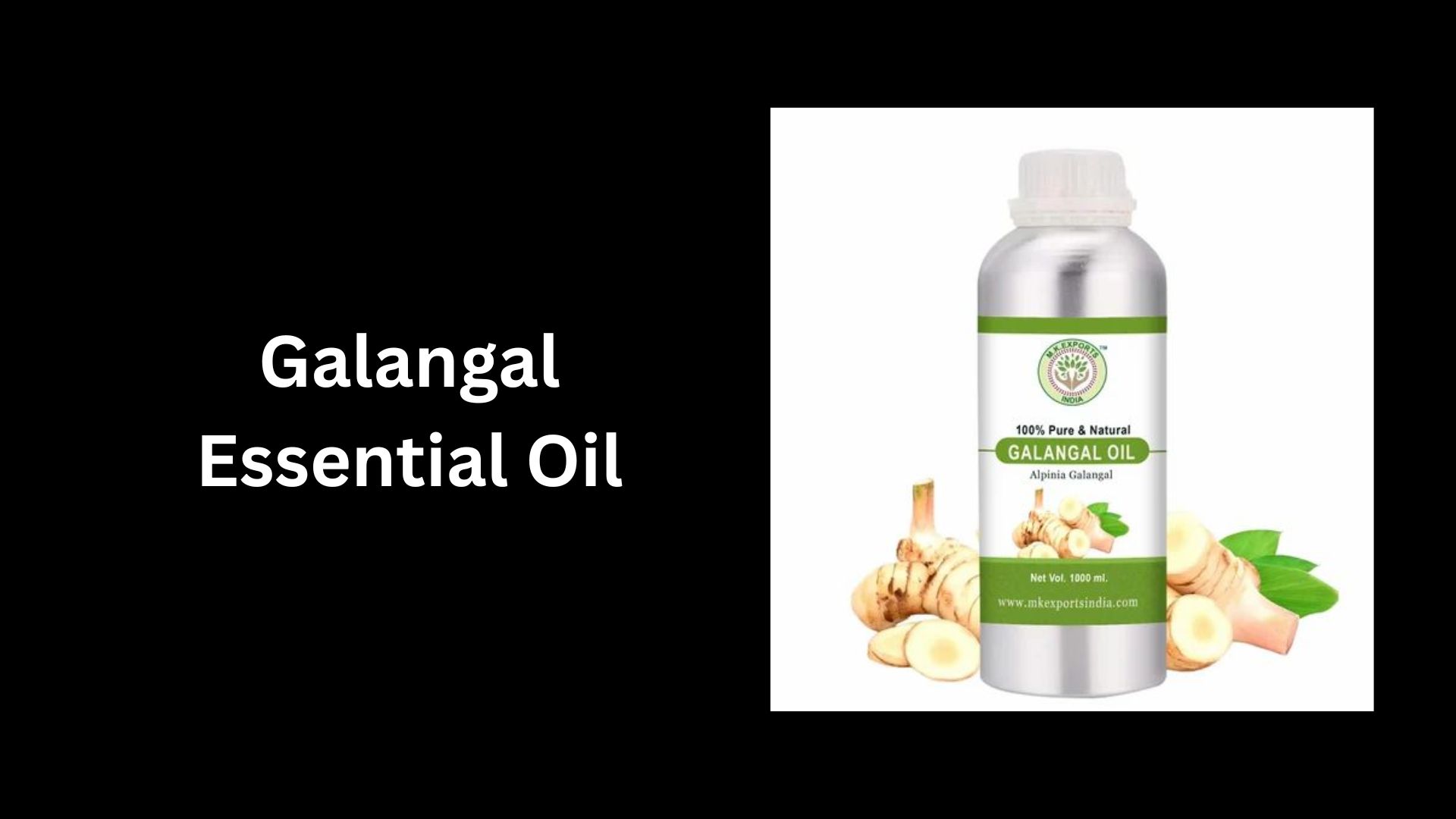 Galangal Essential Oil