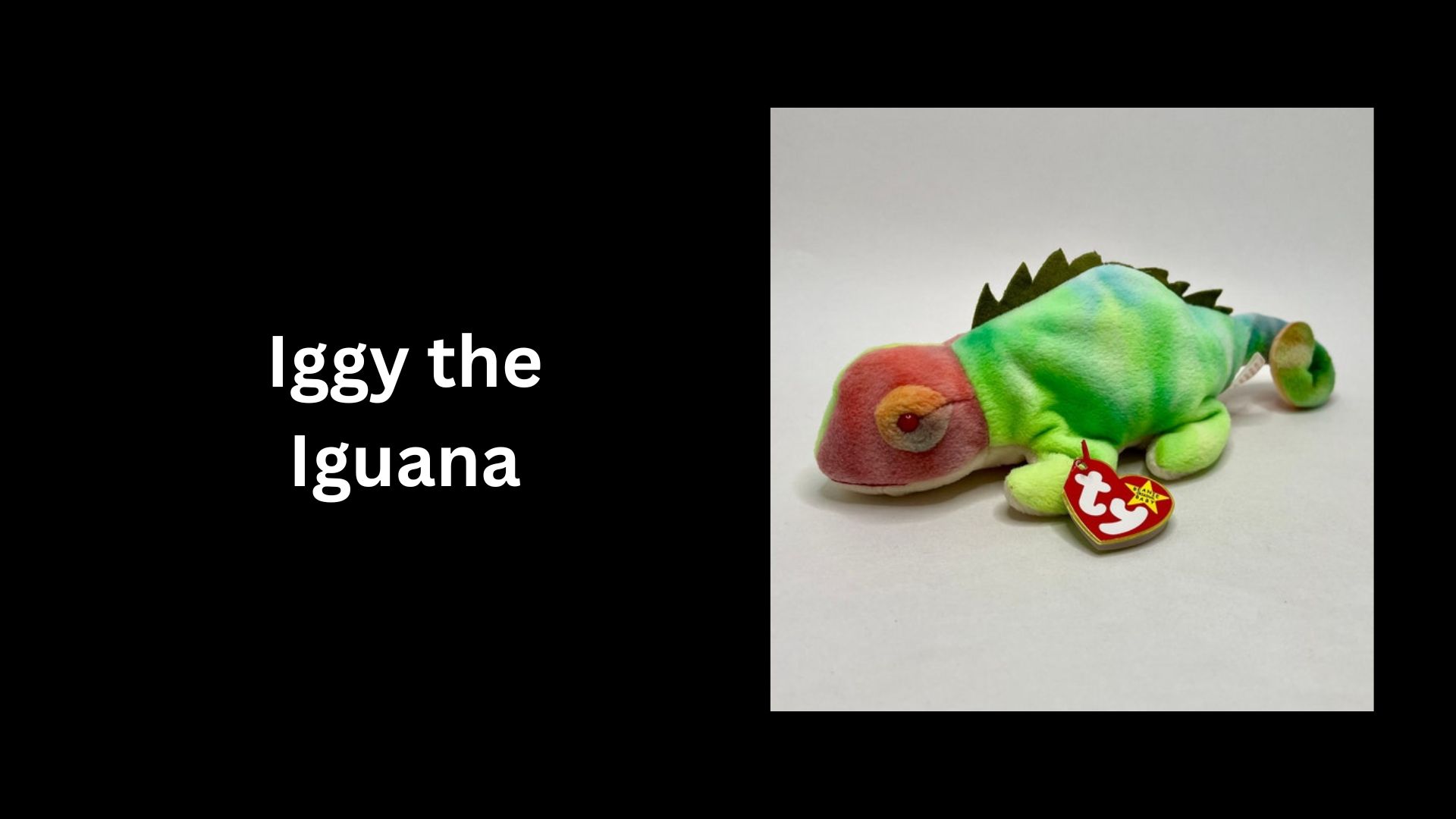 Iggy the Iguana