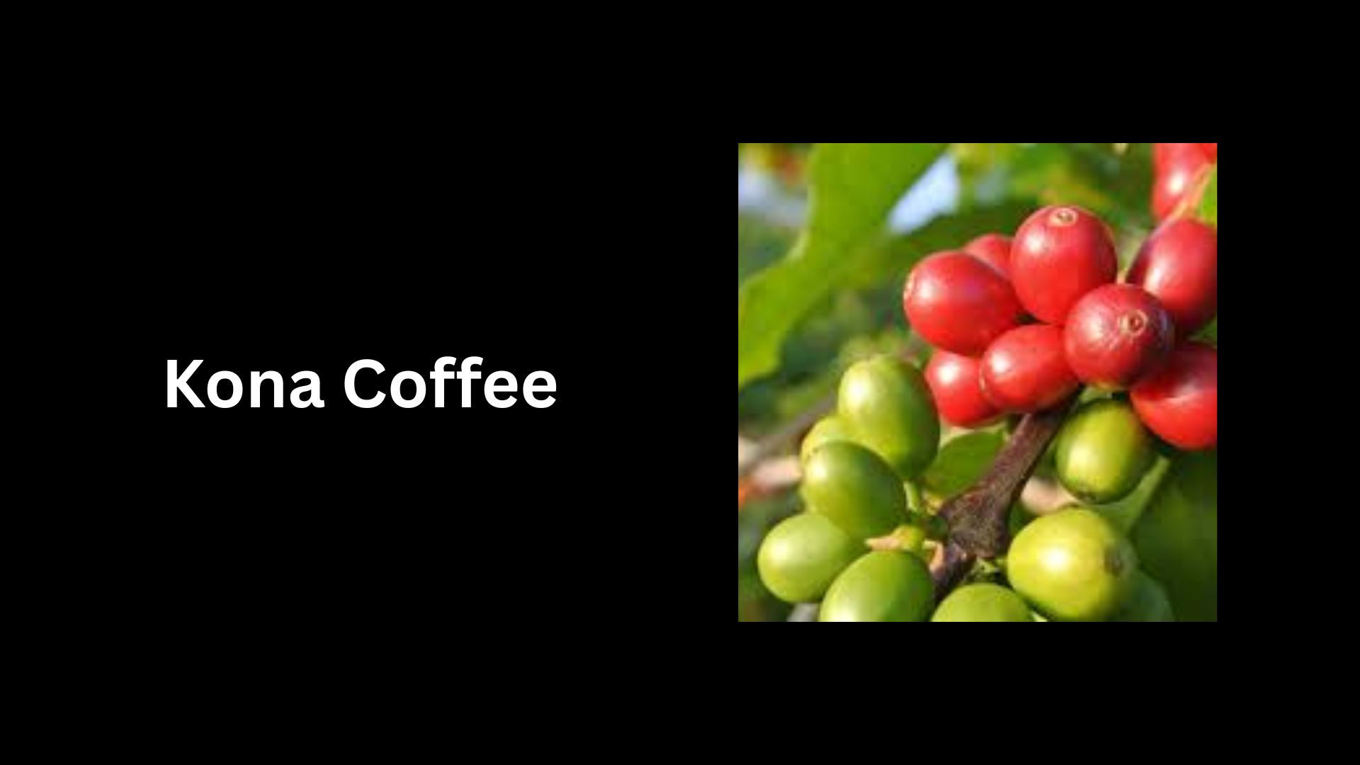 Kona Coffee