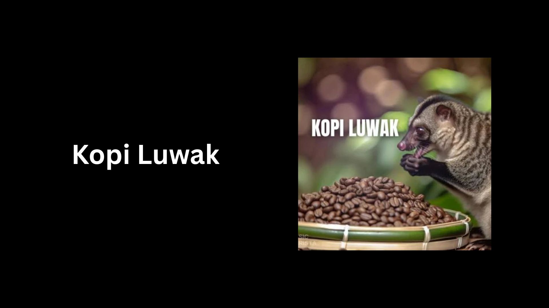 Kopi Luwak