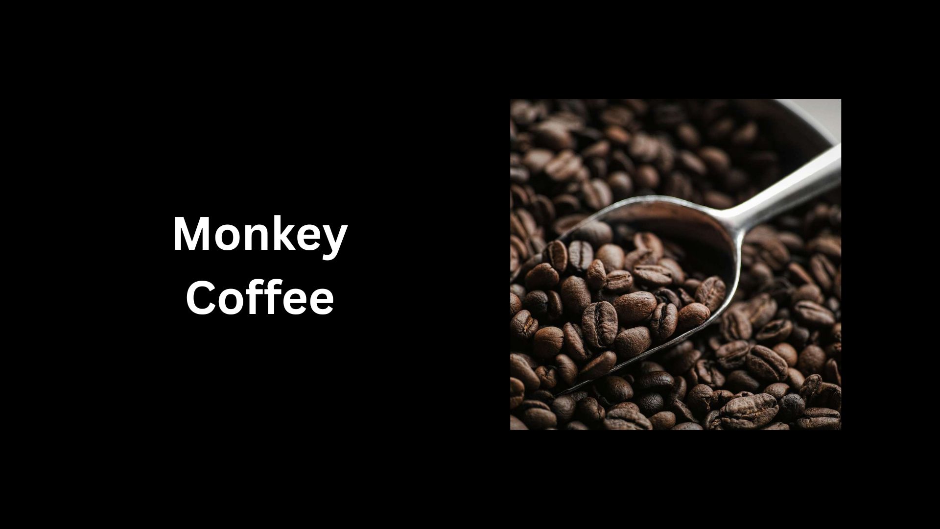 Monkey Coffee