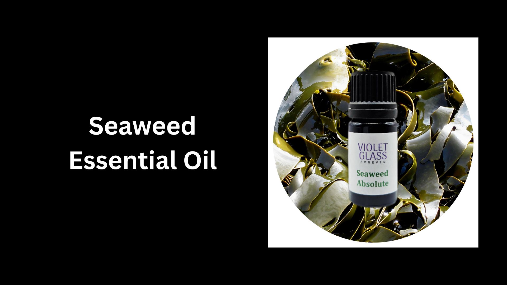 Seaweed Essential Oil