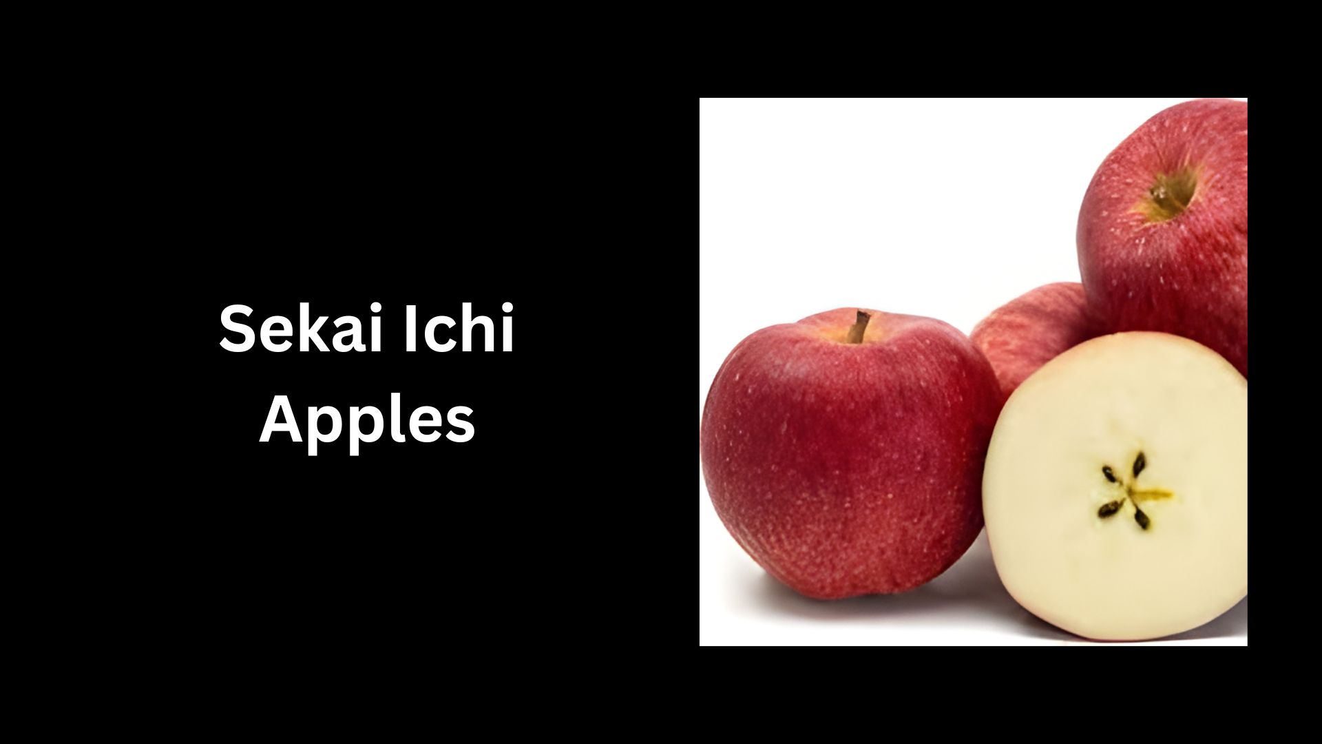 Sekai Ichi Apples