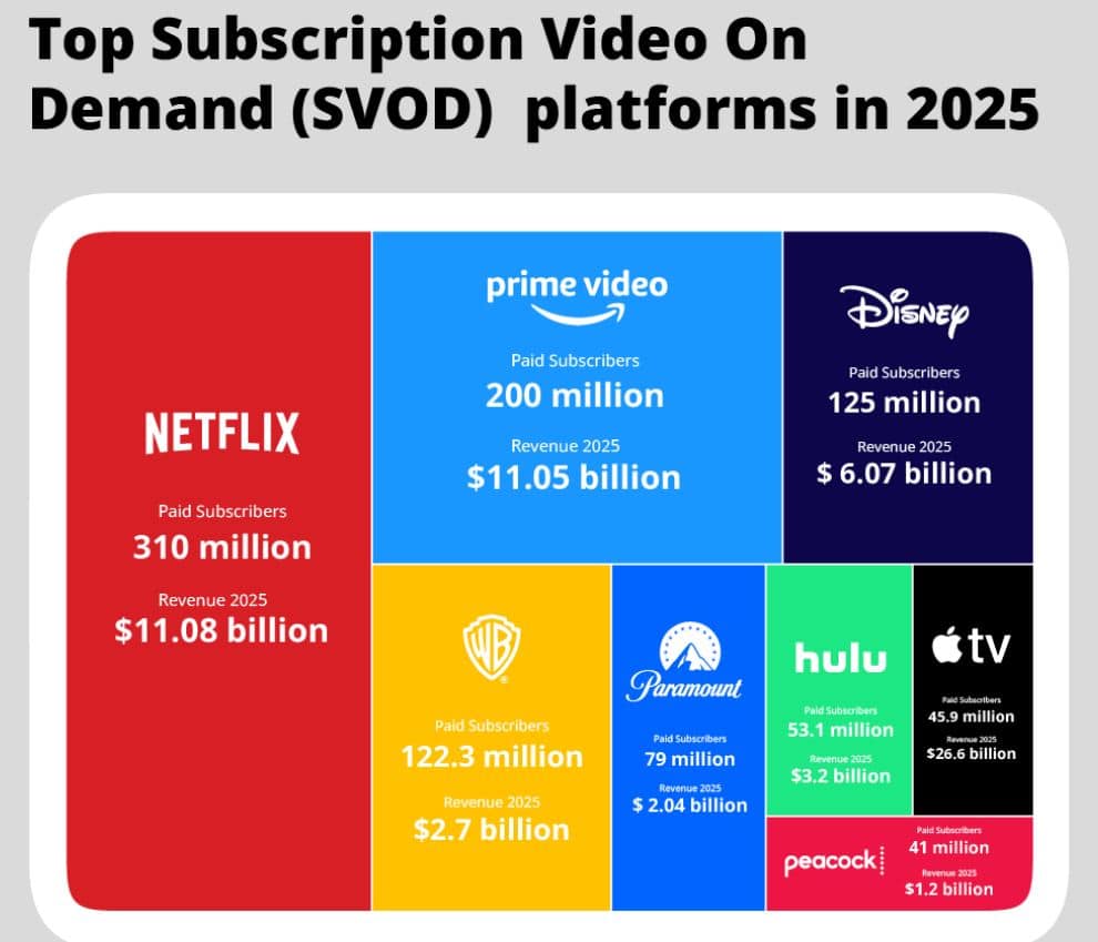 Top Streaming Services Statistics By Users
